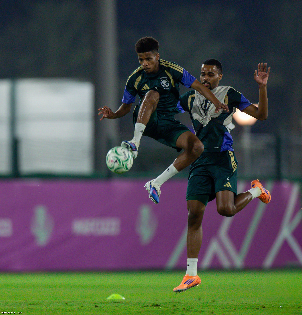 الصقور.. عودة التحضيرات