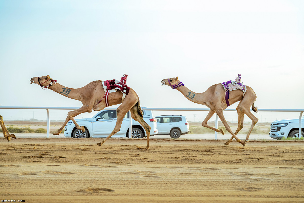 اليوم التاسع