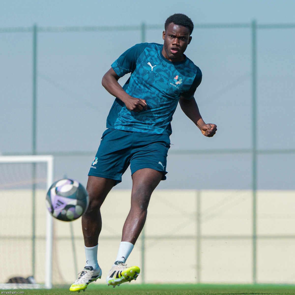 مناورة وتكتيك