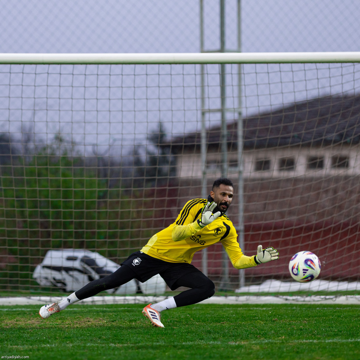 العويس جاهز