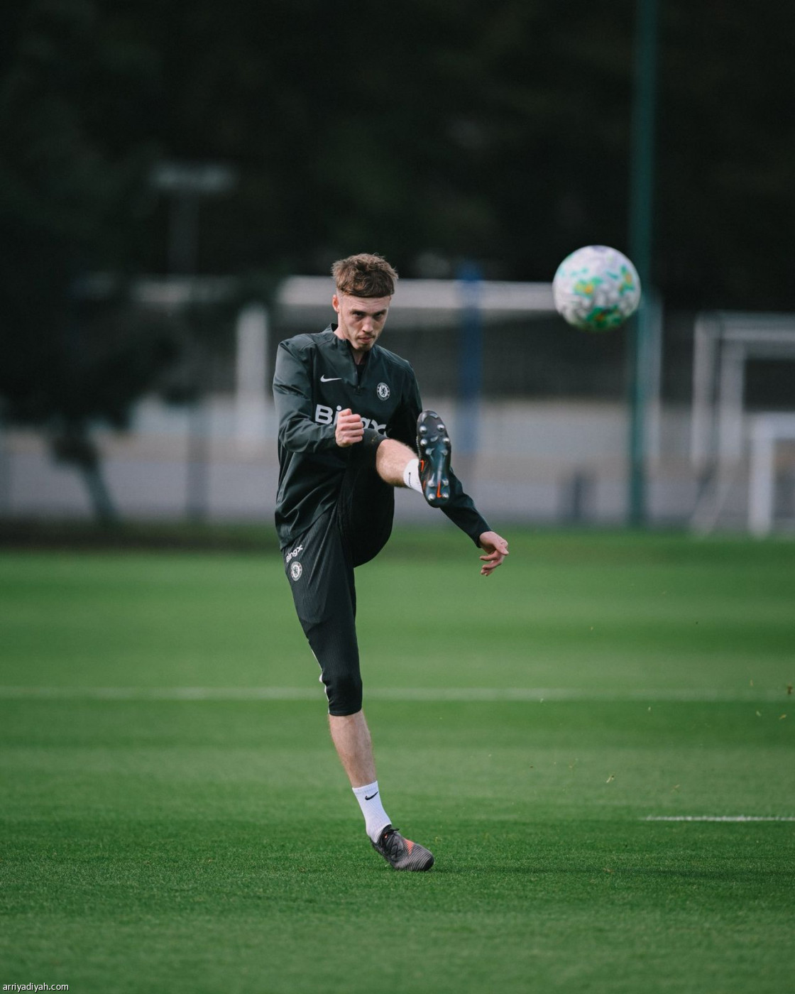 تشيلسي جاهز