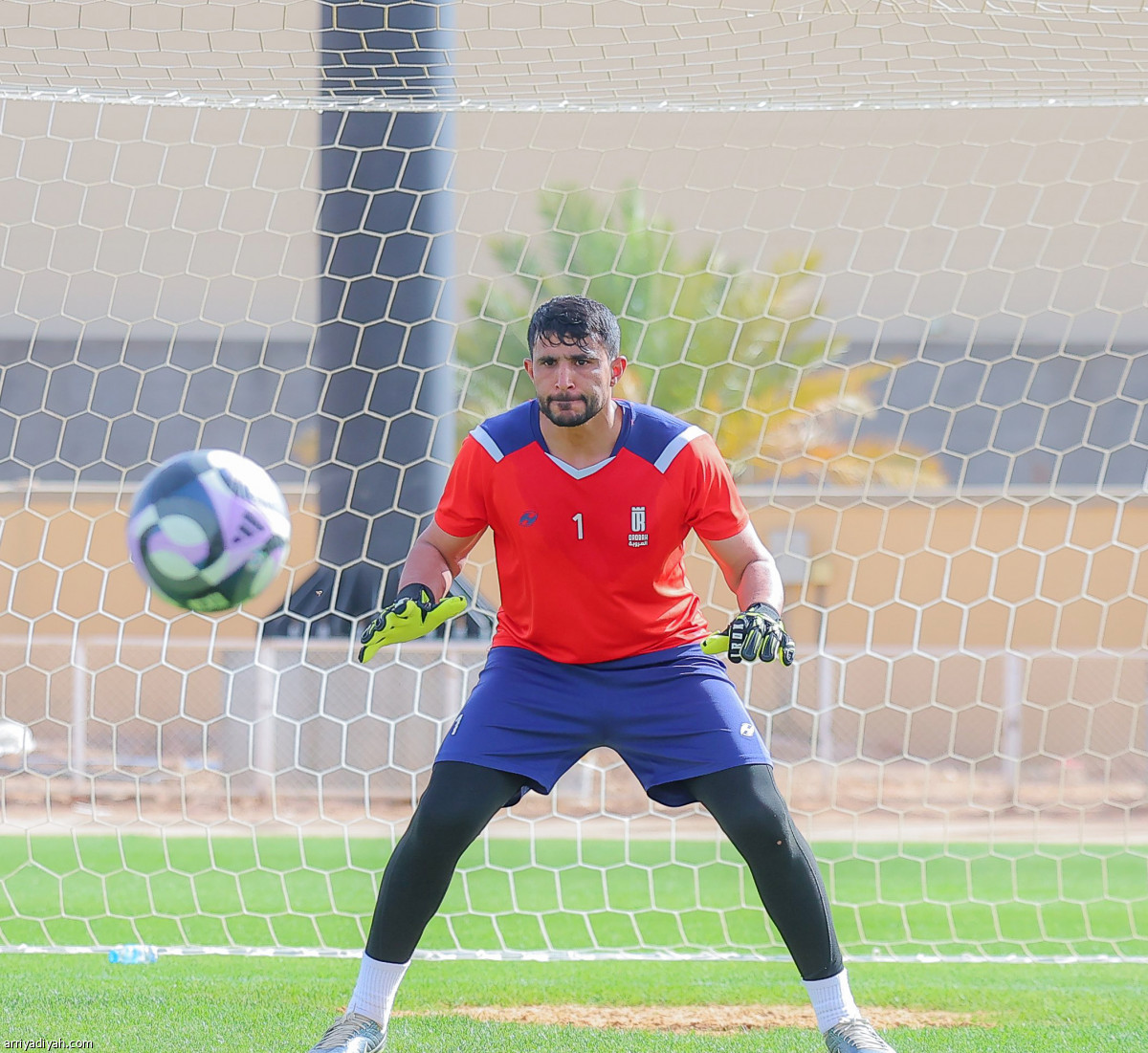 ترفيهي أخير