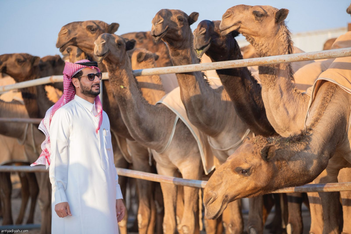 14 فردية بـ 13 مليونا