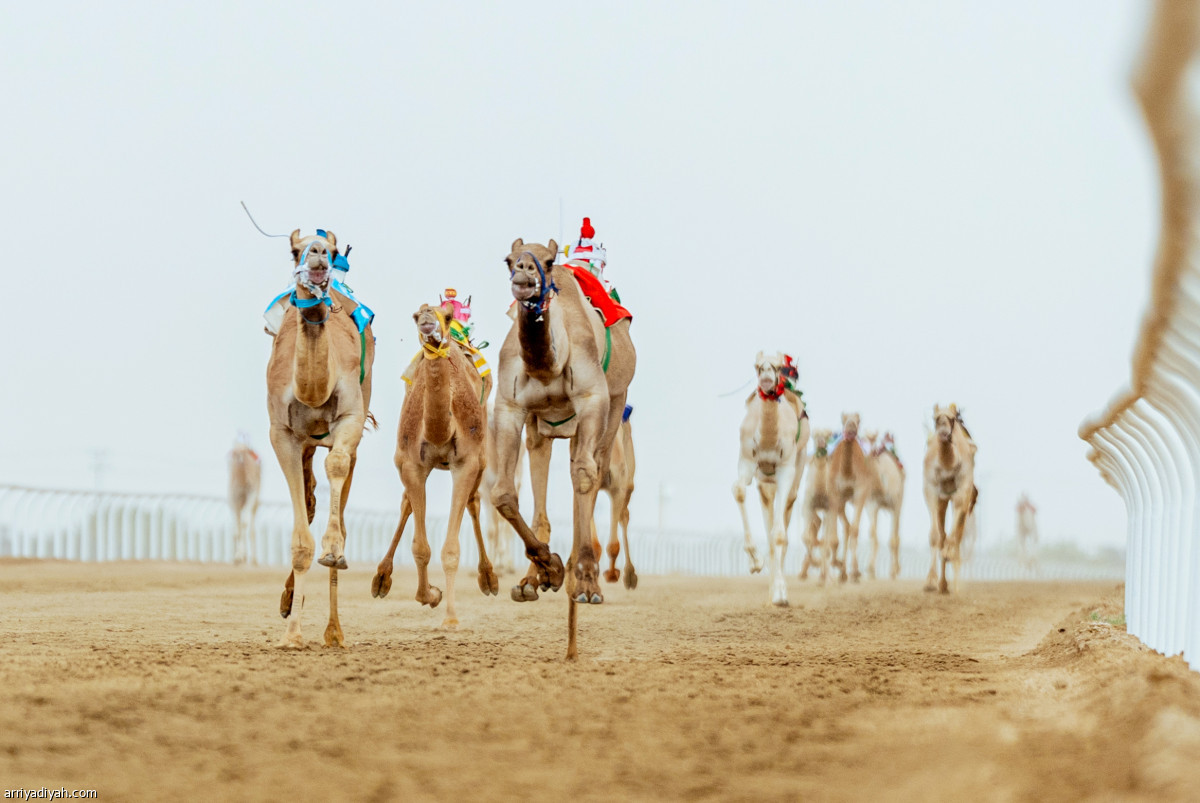 اليوم التاسع