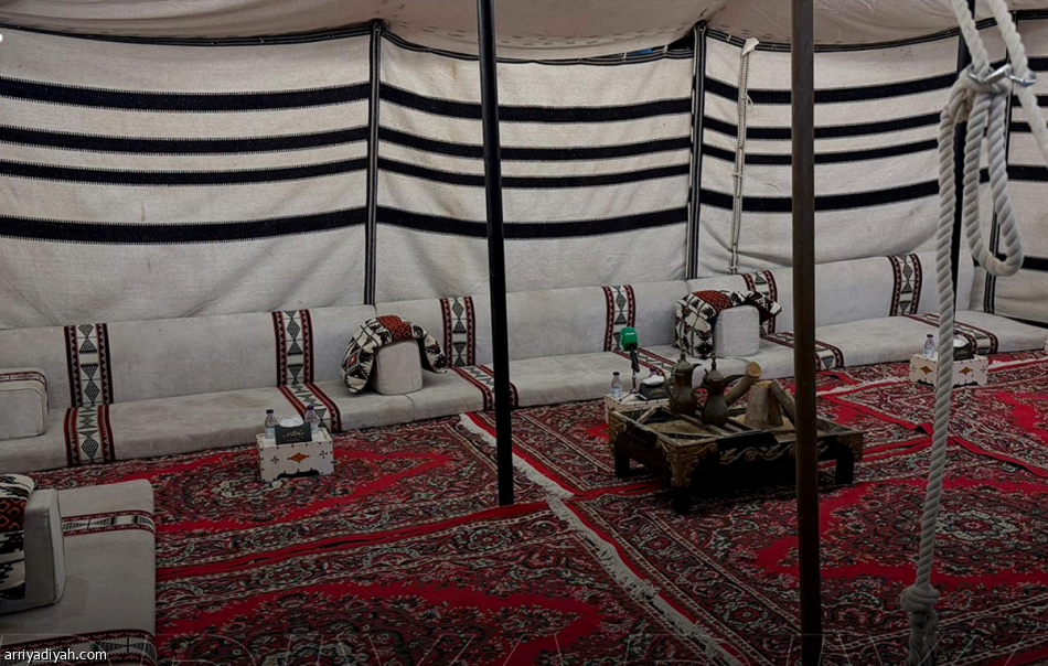 خيمة جوميز.. الفتح يطبق فكرة أمينة