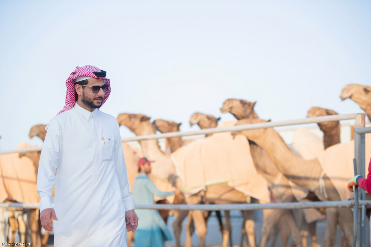 14 فردية بـ 13 مليونا