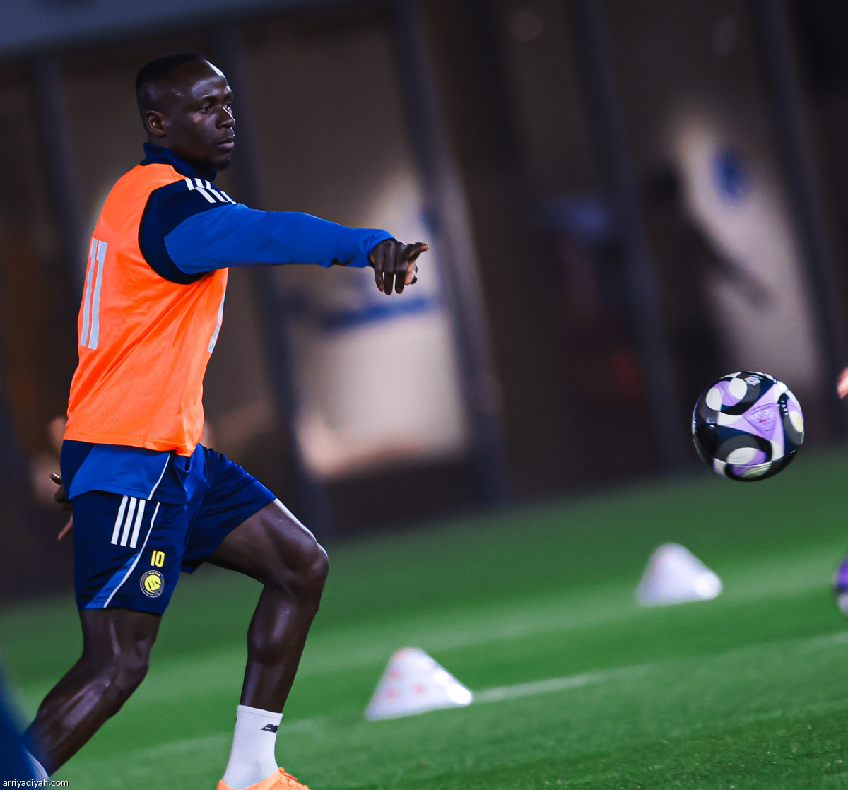 تكريم «الأسد»