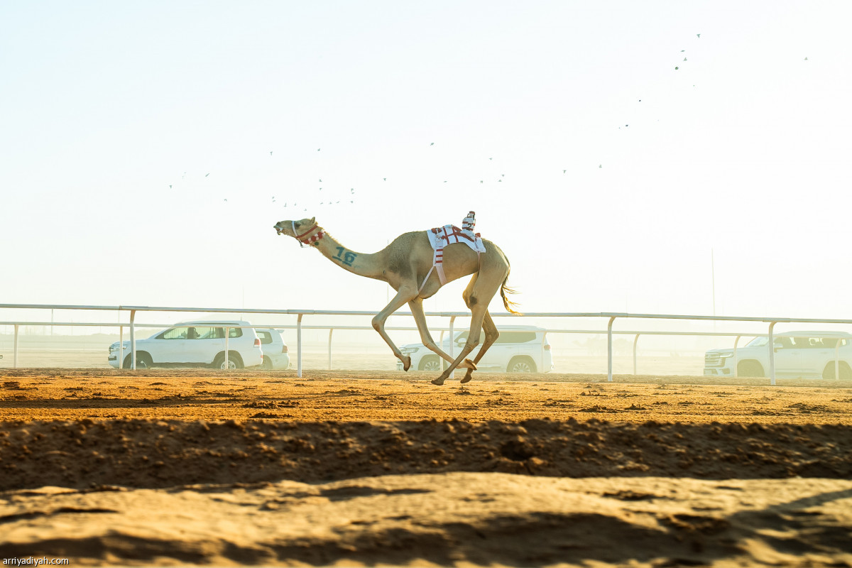 المنافسات الصباحية