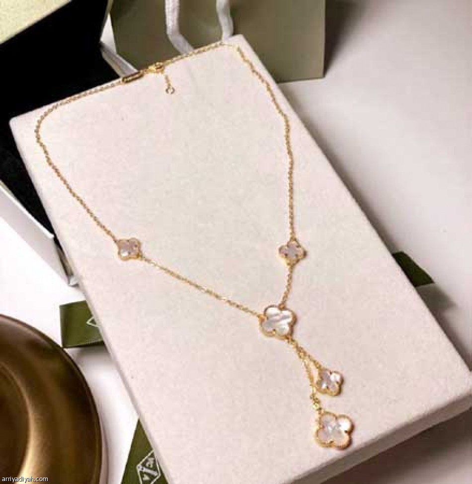 الخبرات
تقود بيان إلى «دير»