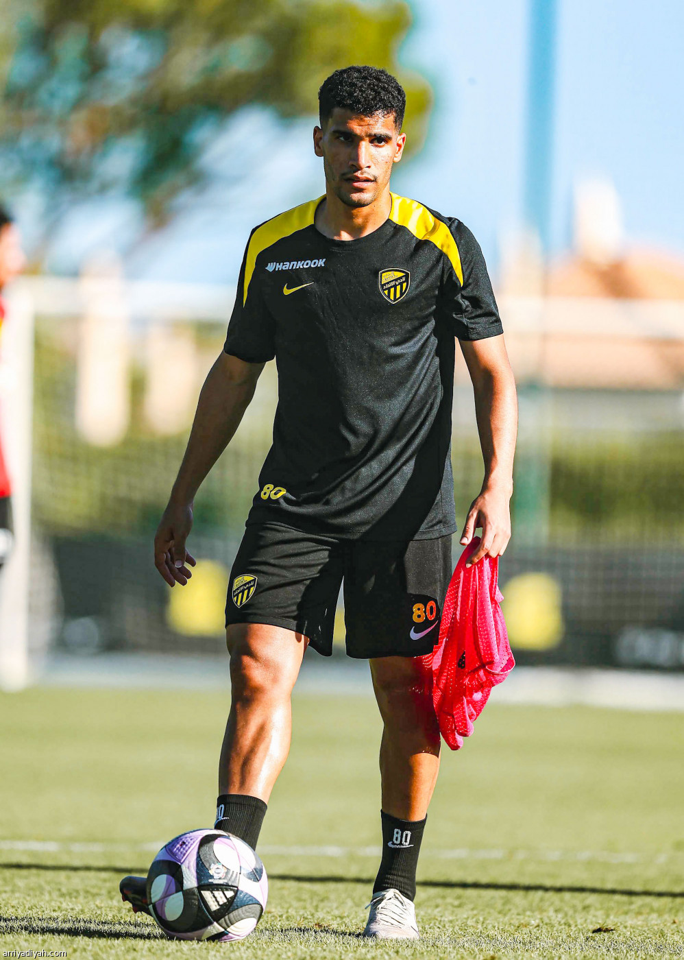 استنفار النمور