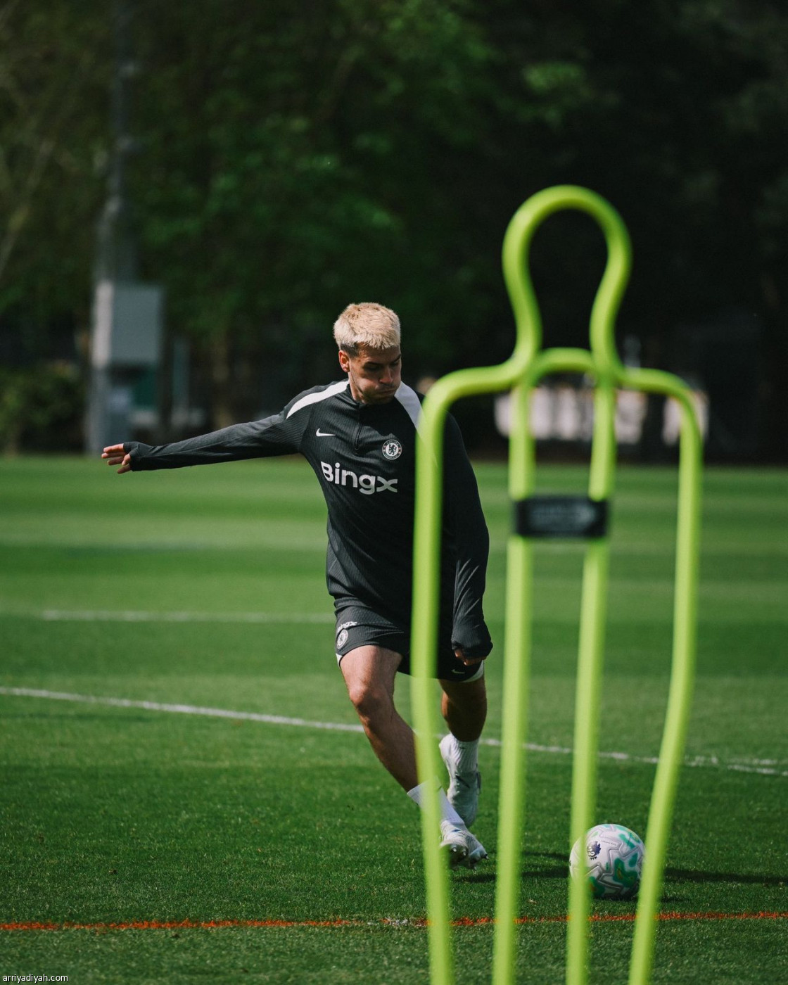 تشيلسي جاهز