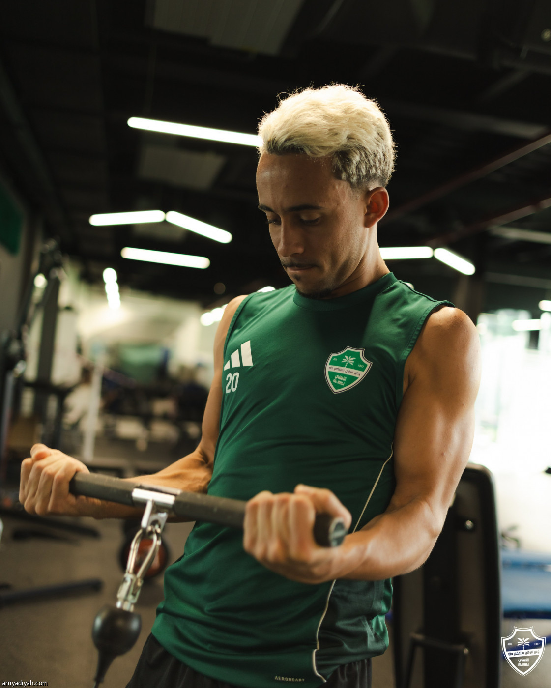 عودة التحضيرات