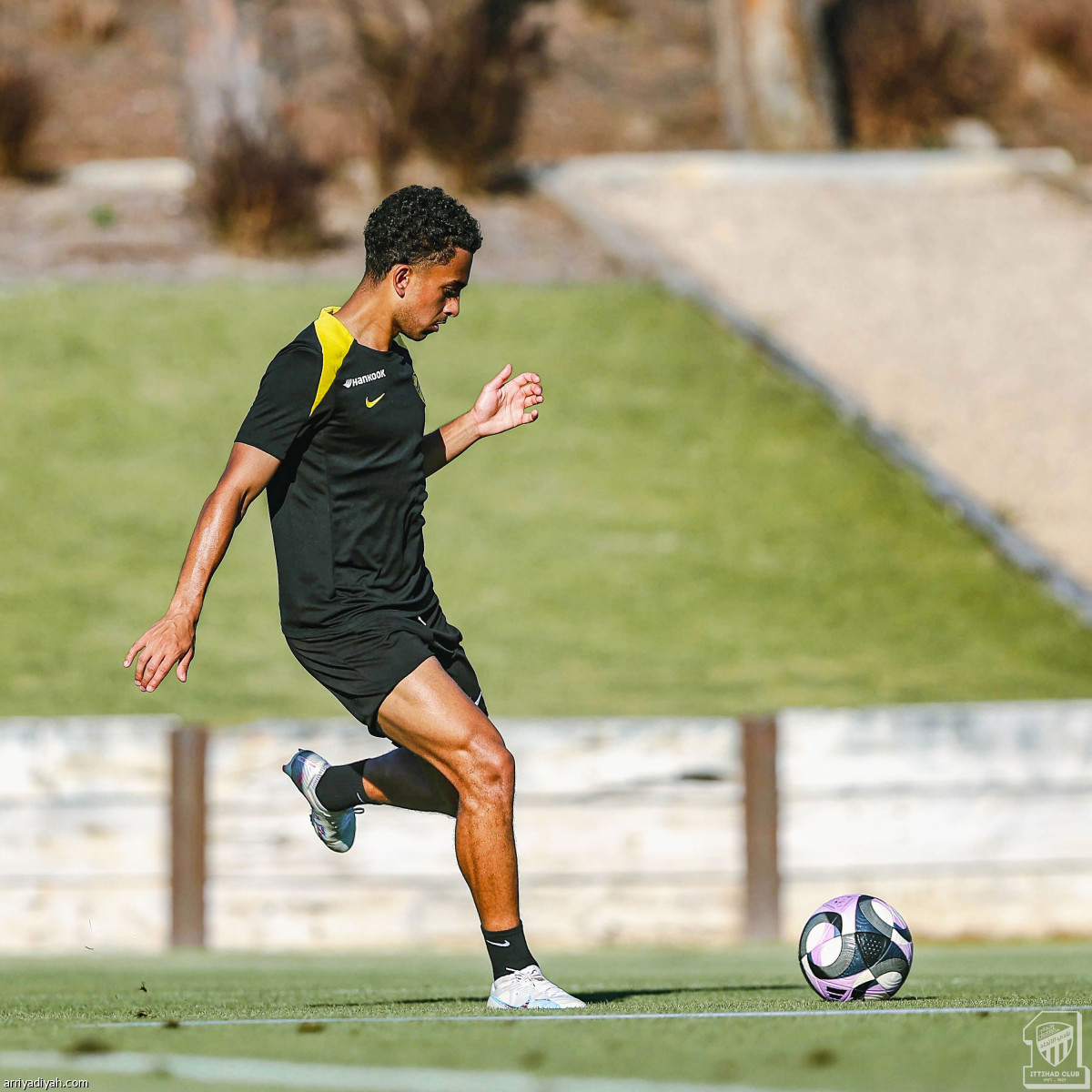 استنفار النمور