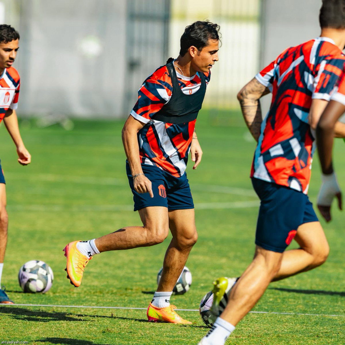 كارينيو يناور