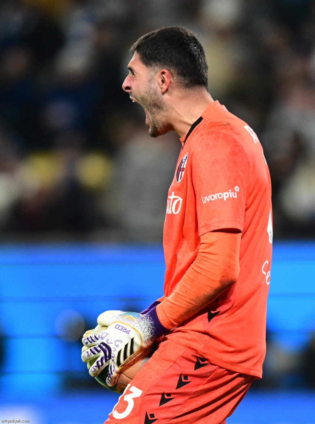 بولونيا يتجاوز الإنتر