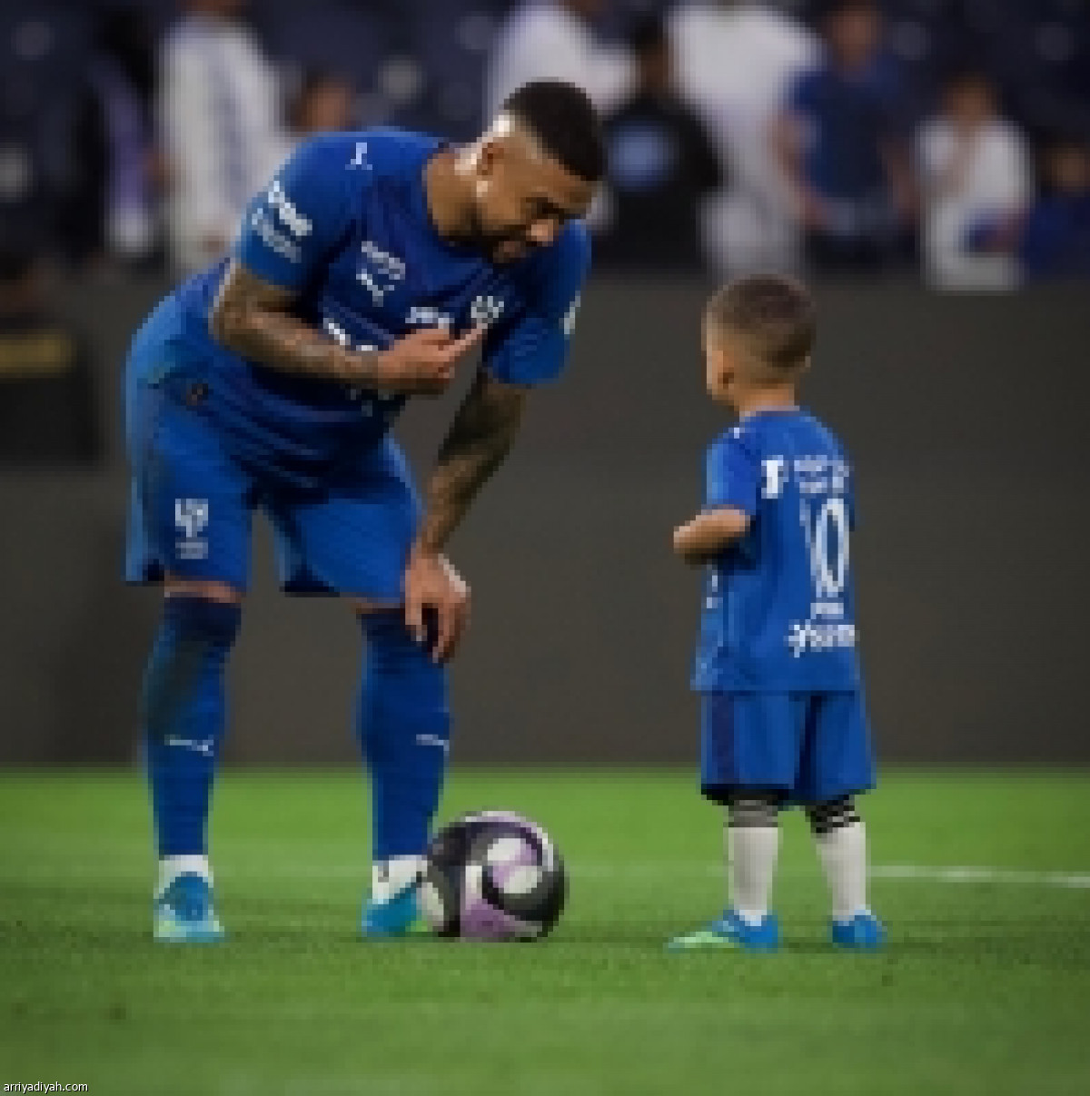 هدية سافيتش