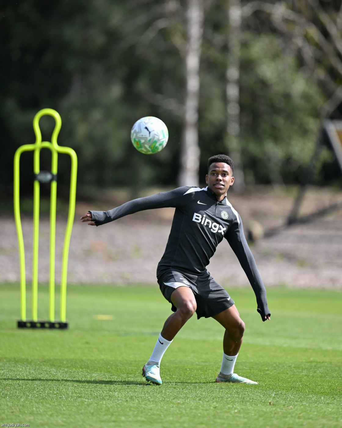 تشيلسي جاهز