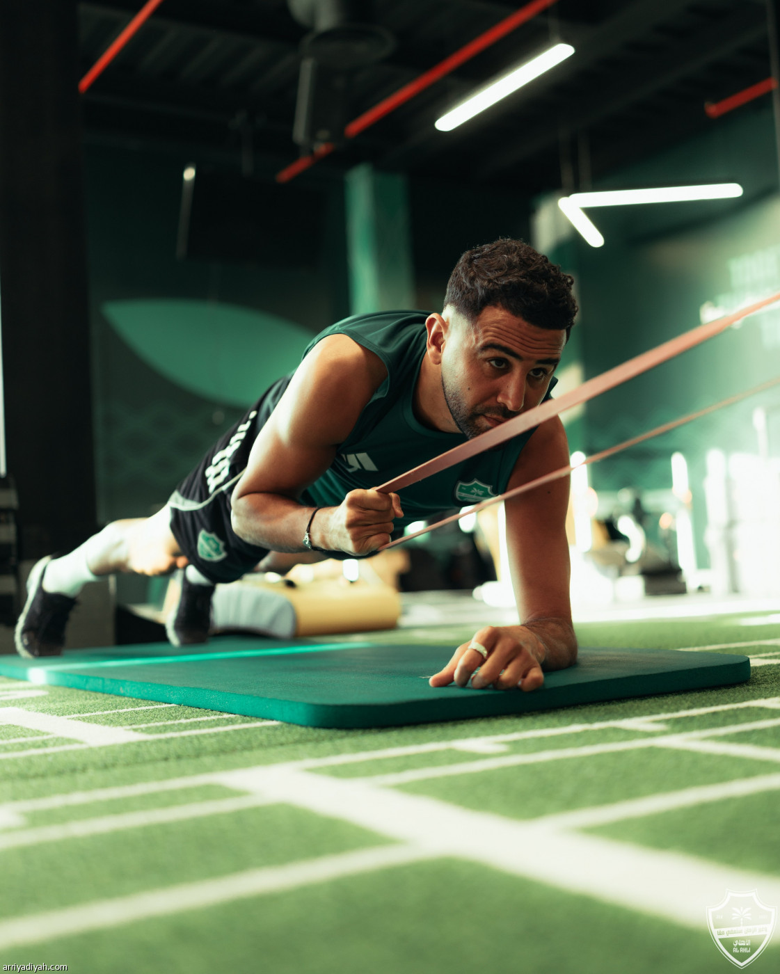 حامل اللقب جاهز