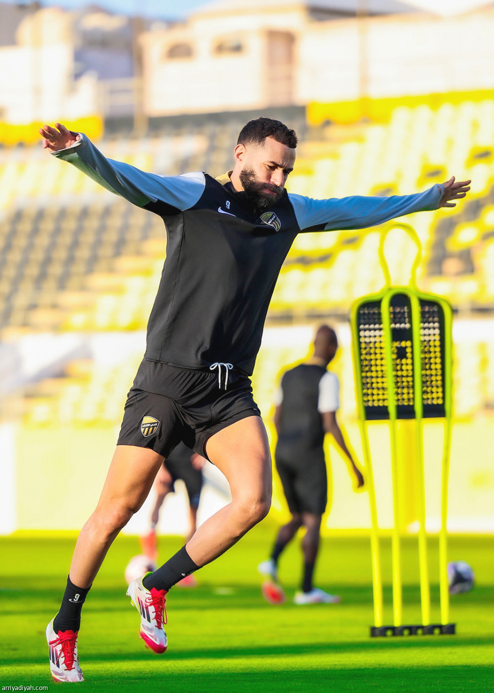 تحضيرات النمور