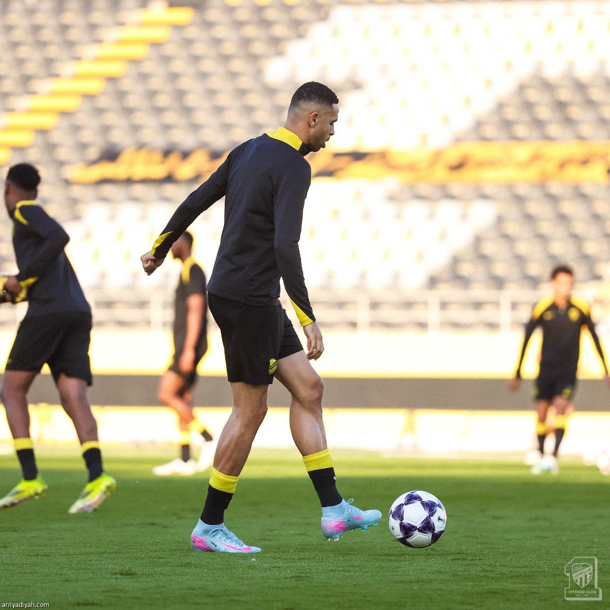 المدرج يؤازر «النمور»