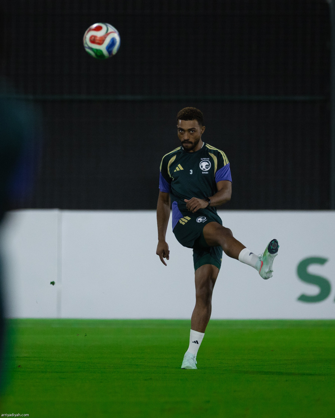 الصقور جاهزة