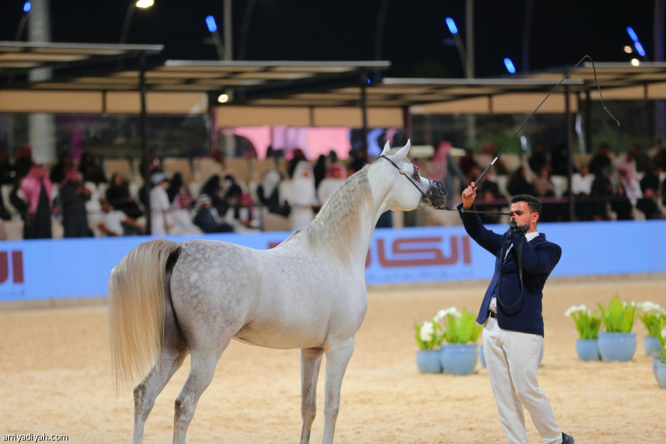 أمير الرياض يرعى ختام مهرجان «عبية في الدرعية»