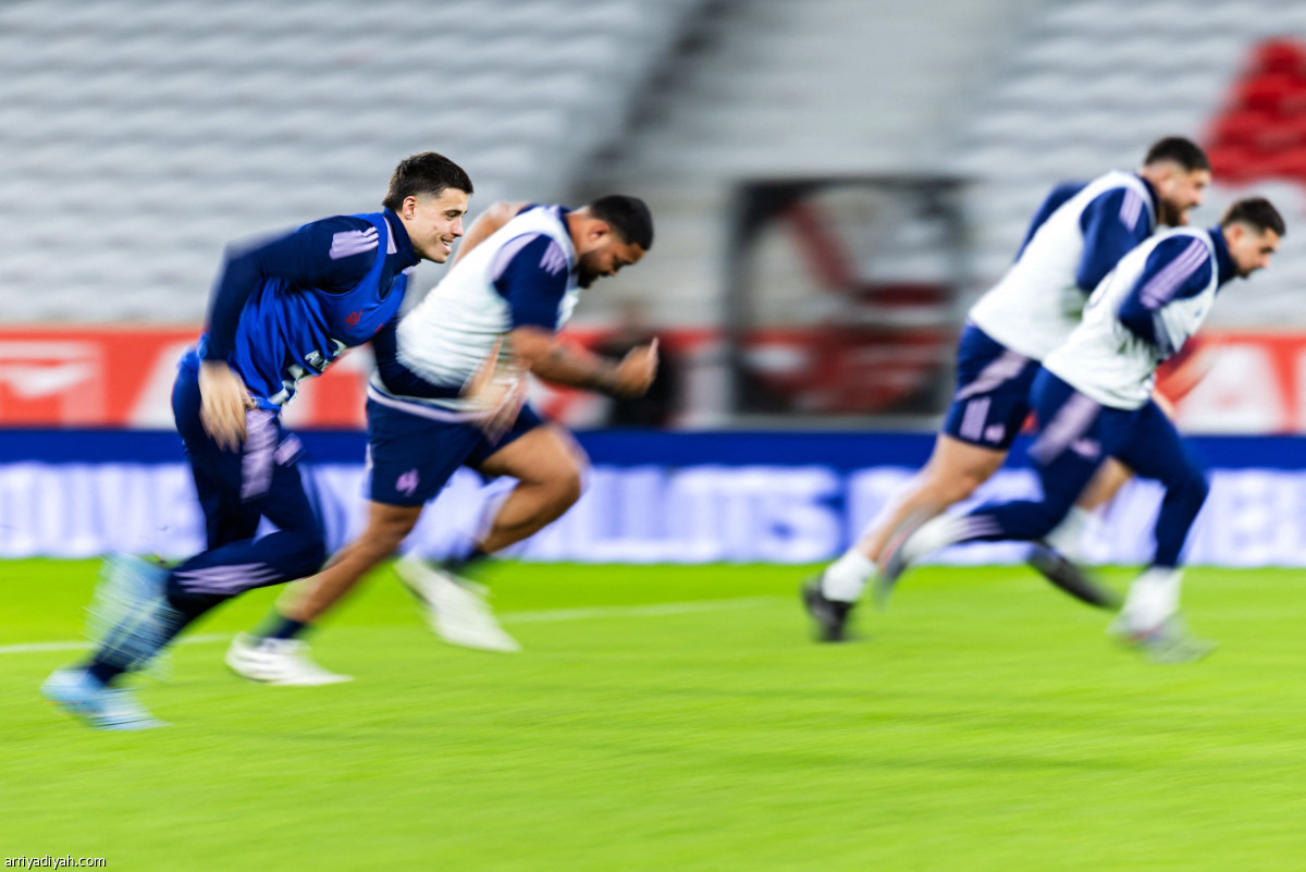 الديوك جاهزة