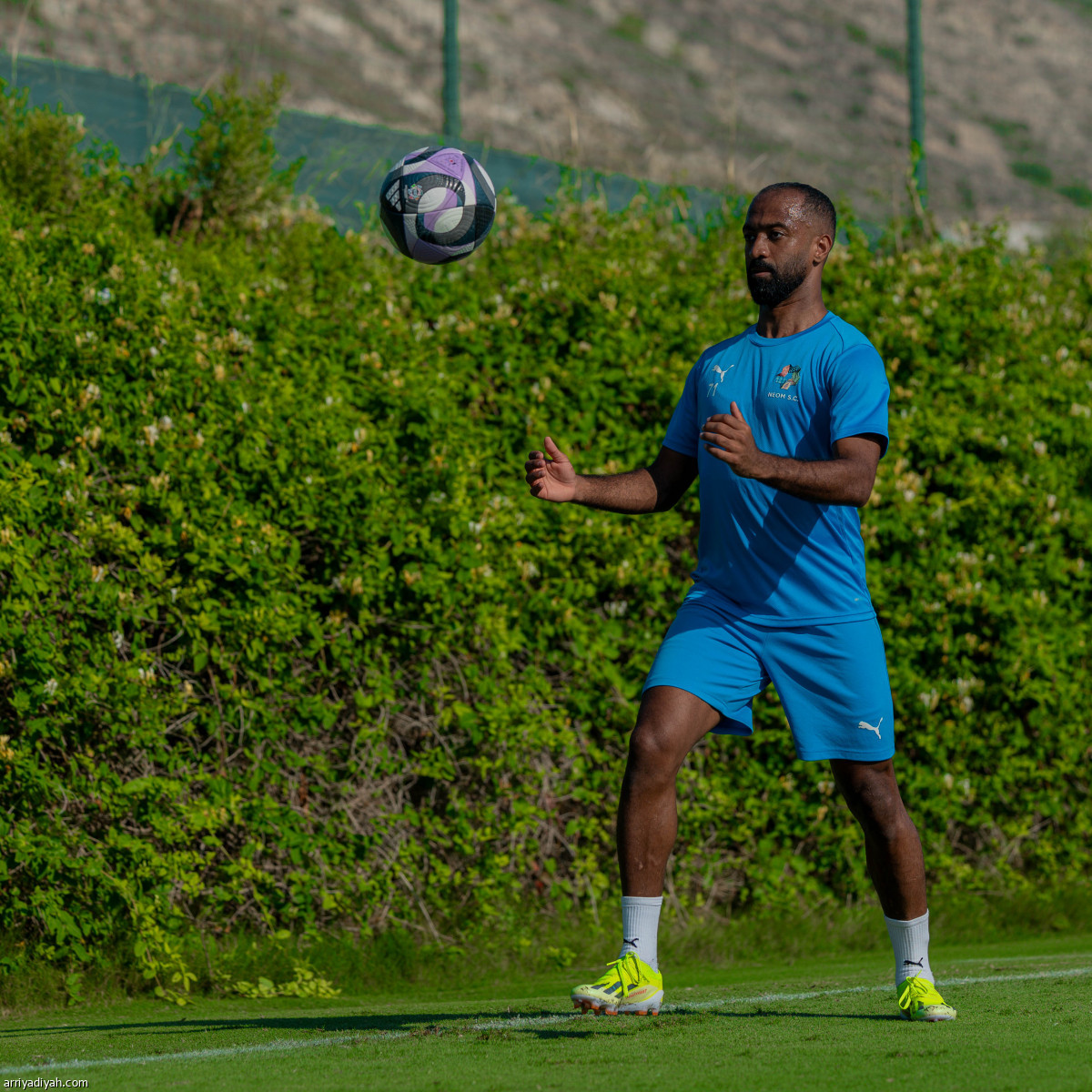 جالتيه يناور