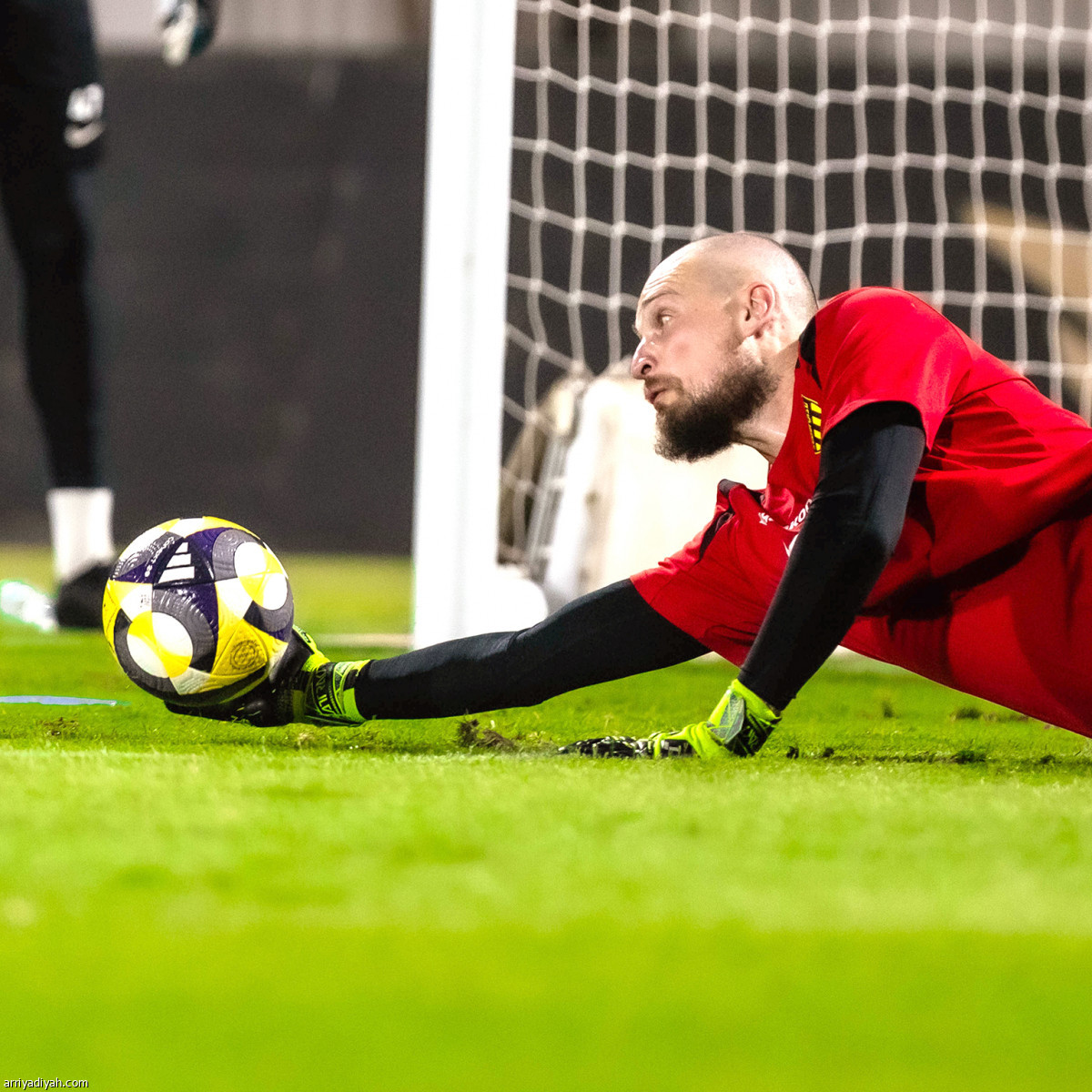 «النمور» يتجهزون