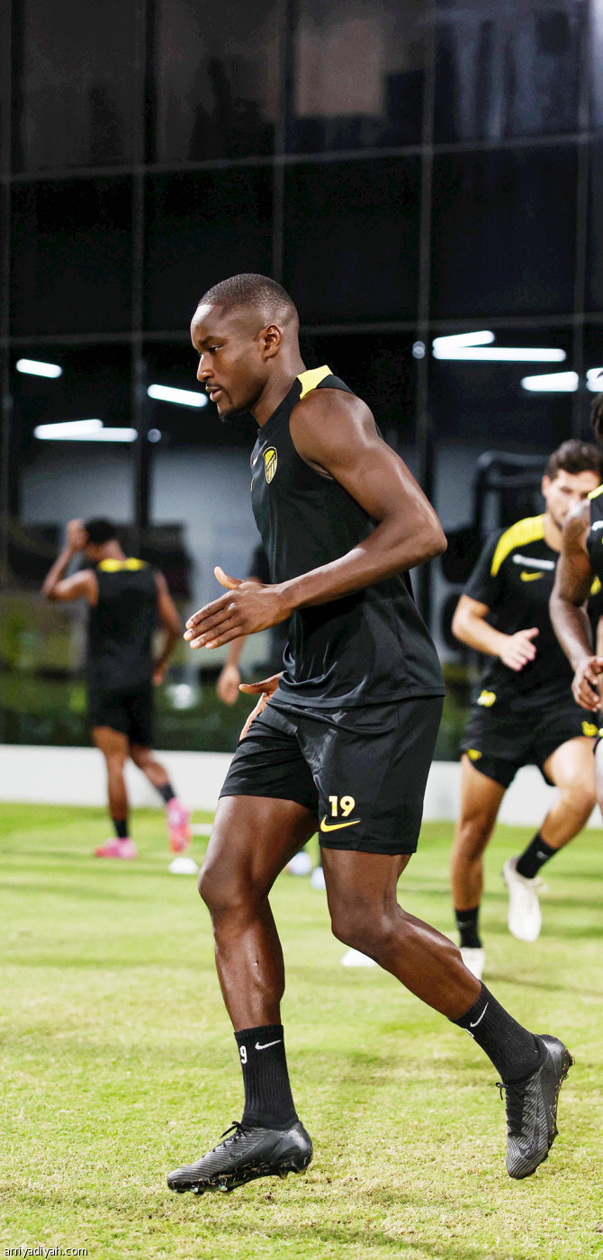 النمور تستنفر