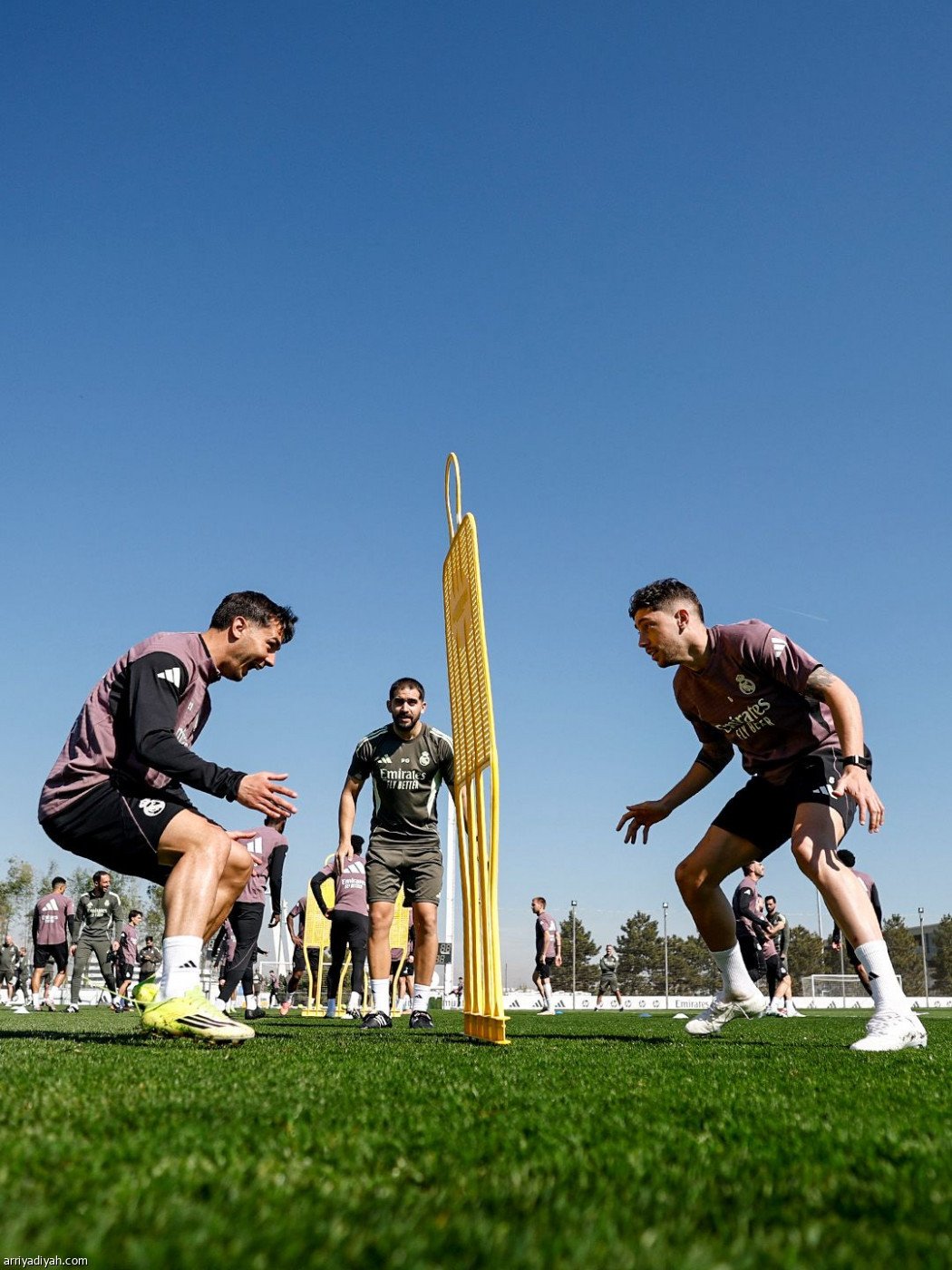 الريال متأهب