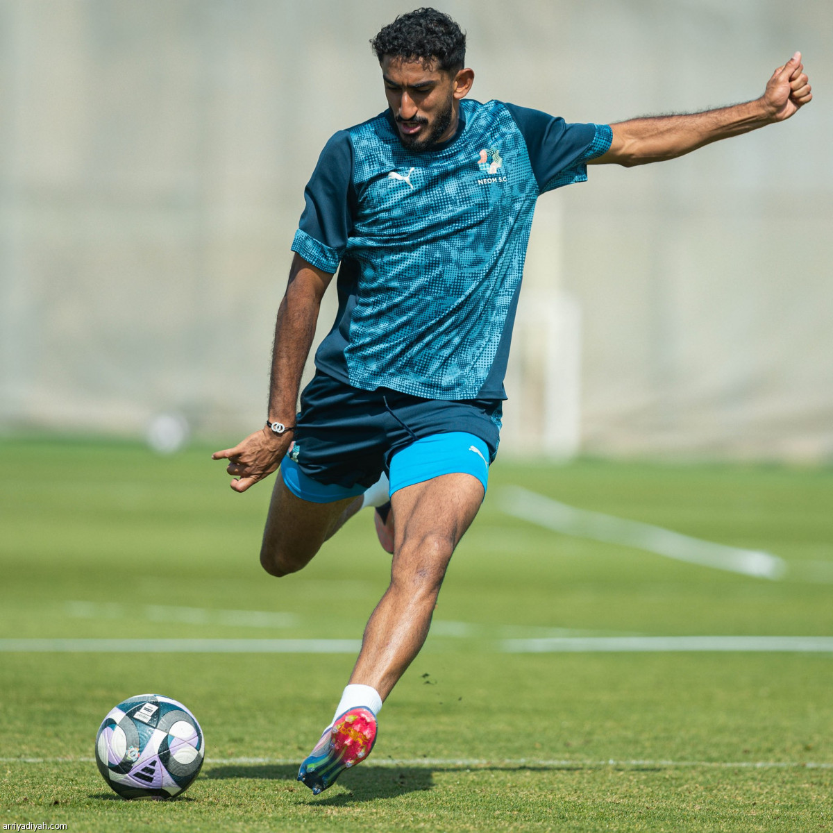 تحضيرات نيوم