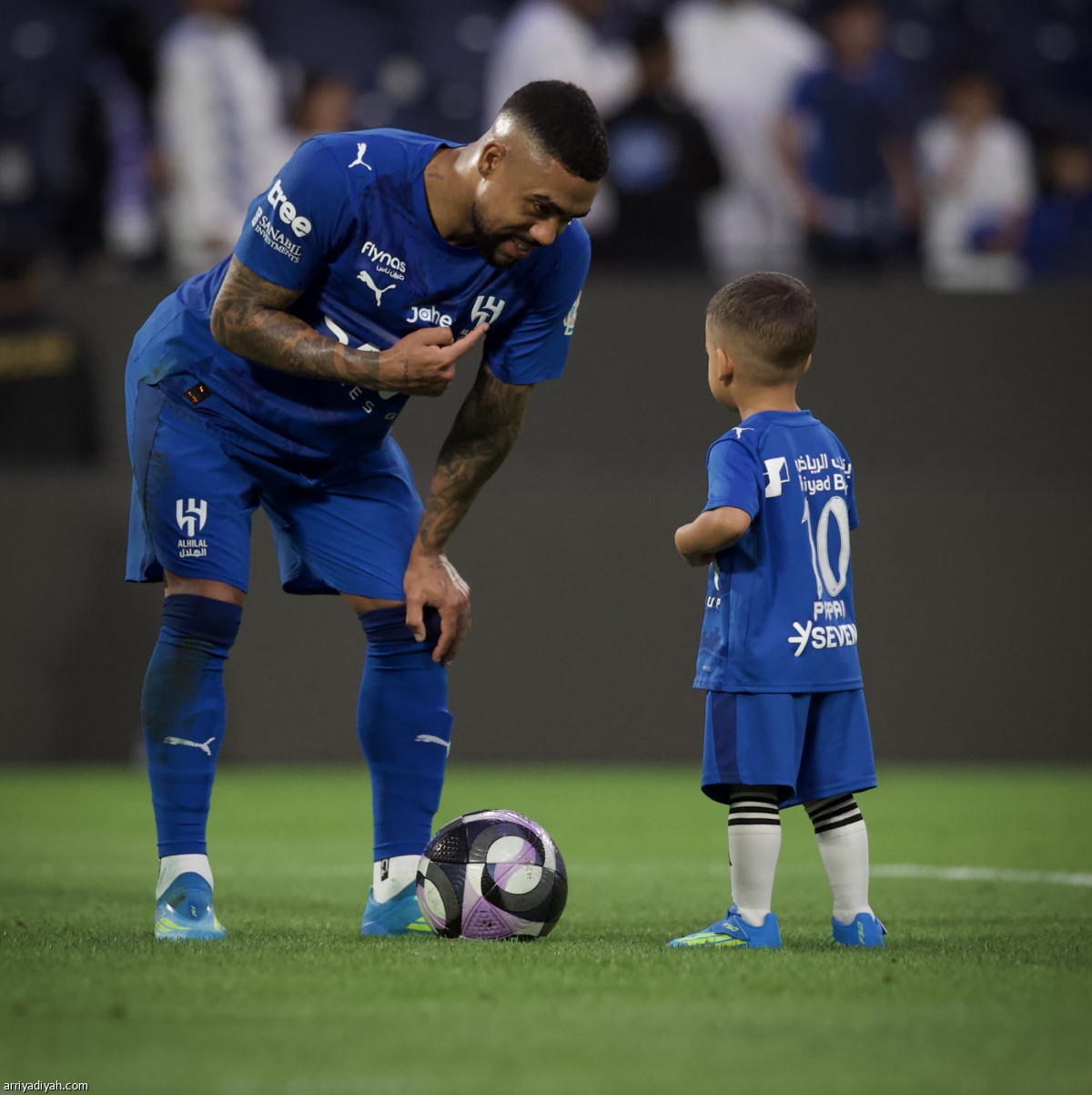 هدية سافيتش