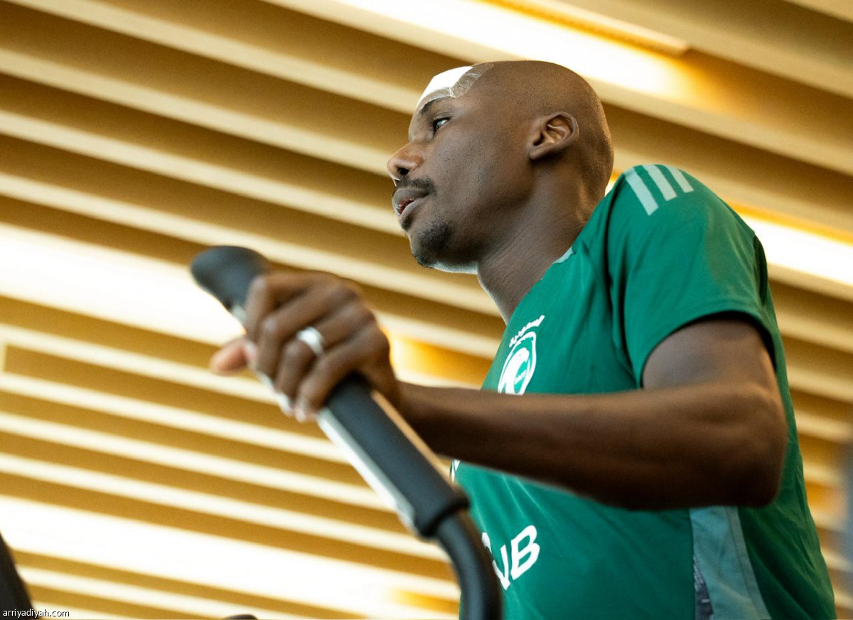 الصقور تتعافى