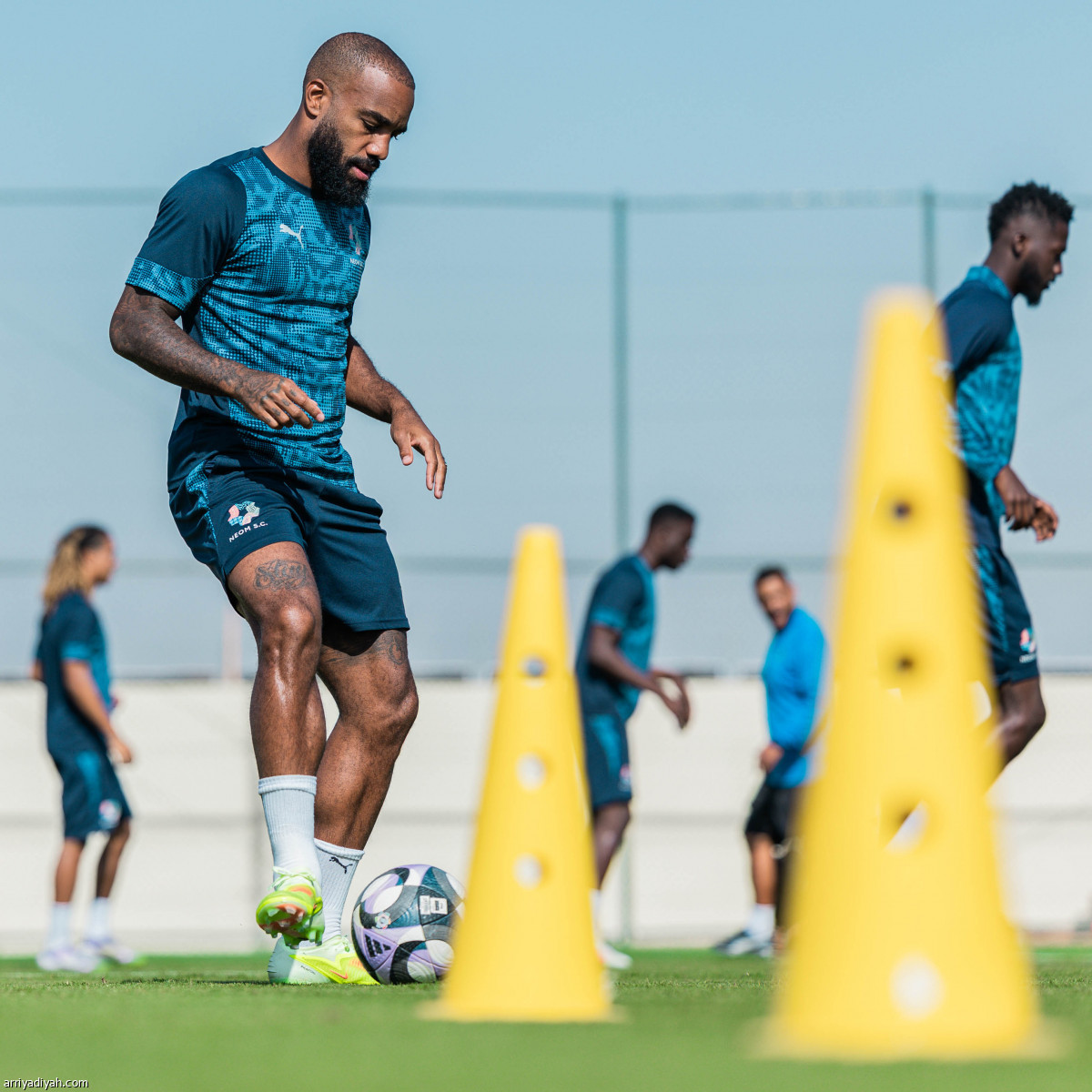 تمارين لياقية