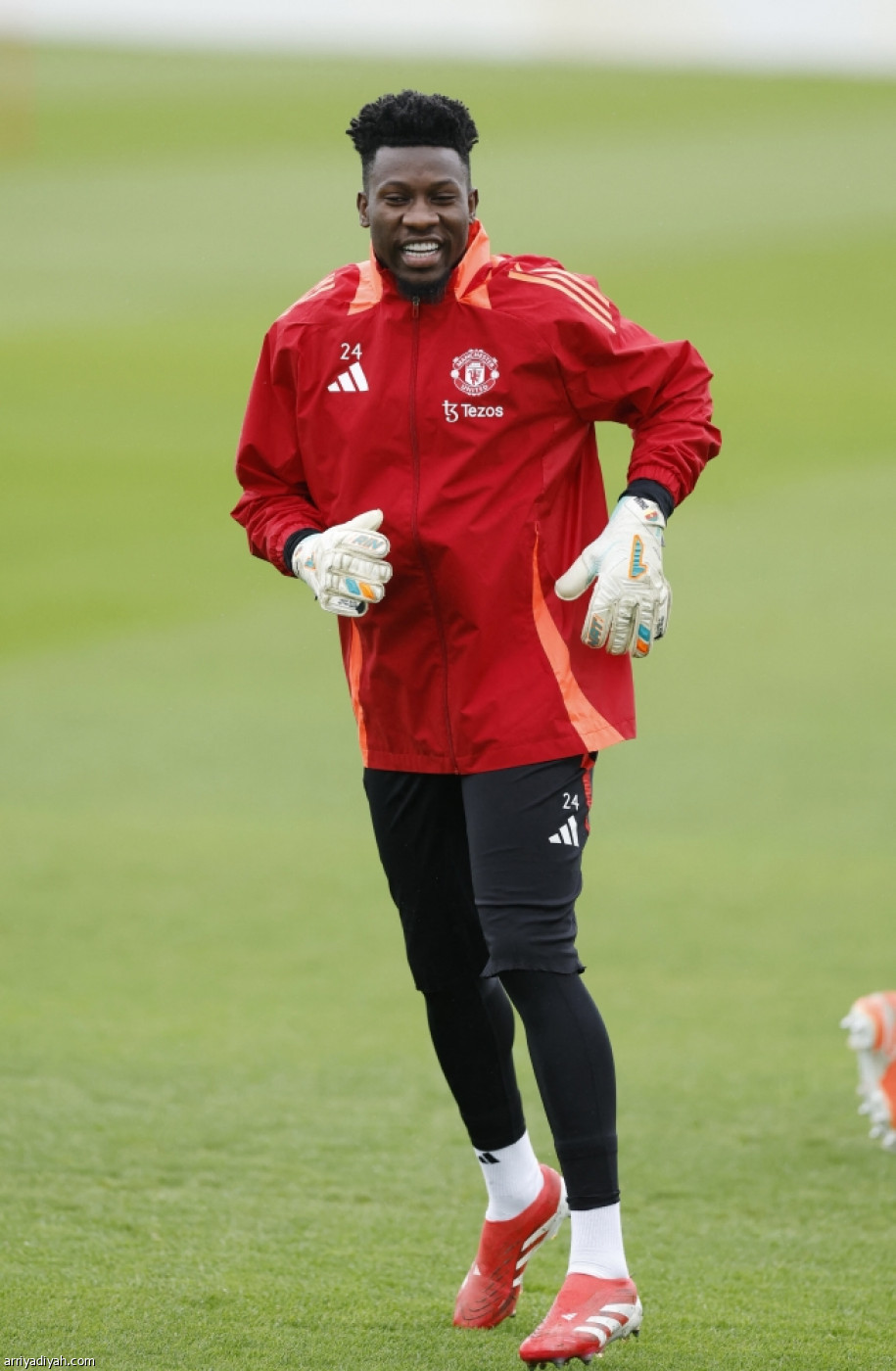 نهاية التحضيرات