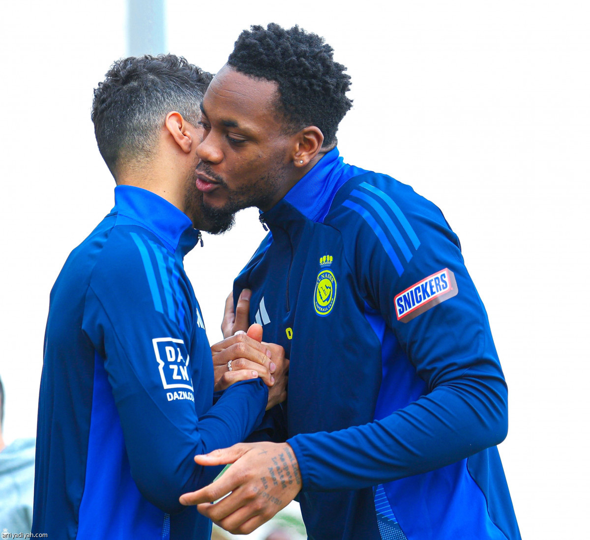 تحضيرات صفراء